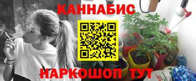 индика Апшеронск