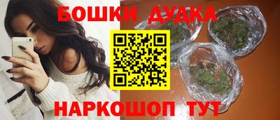 индика Апшеронск
