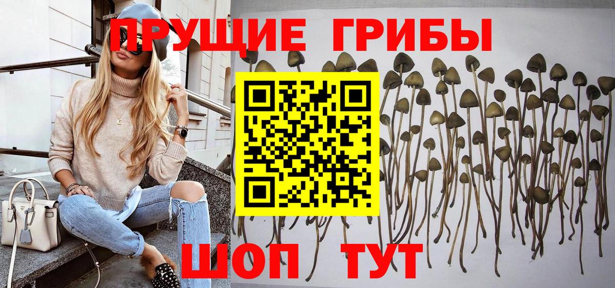 Псилоцибиновые грибы прущие грибы Белогорск
