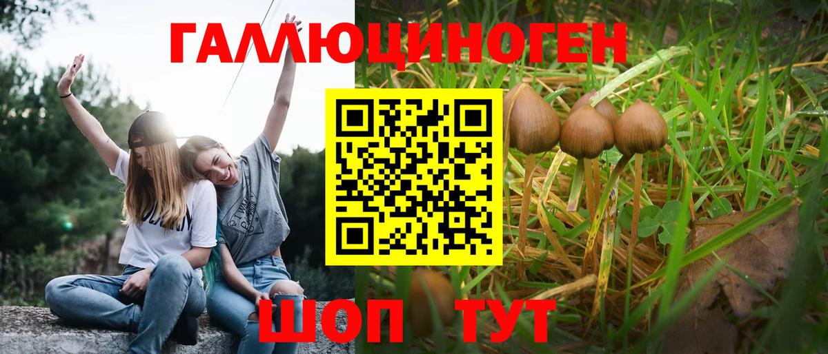 Псилоцибиновые грибы GOLDEN TEACHER  Вход с VPN  цены   Белогорск 